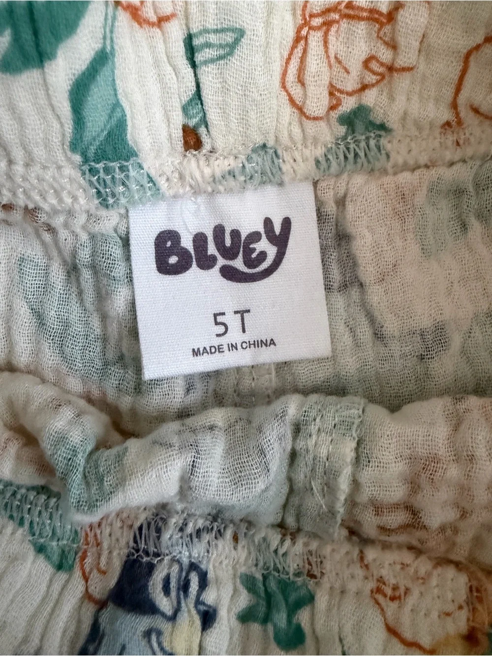 Bluey adorable matching
